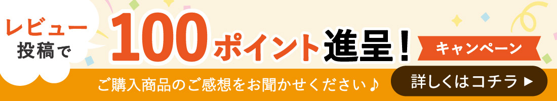 レビュー投稿で100ポイント進呈キャンペーン